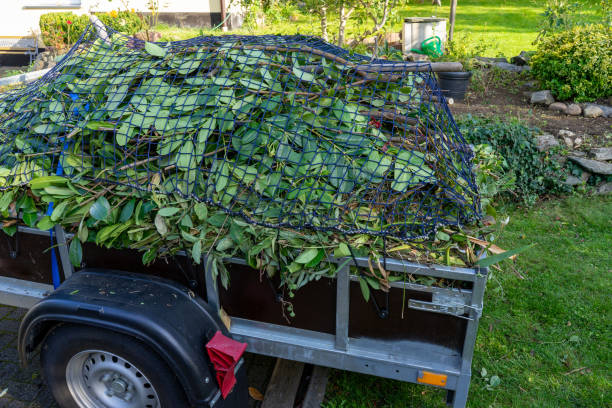 Professional Junk Removal Services in Clover, SC